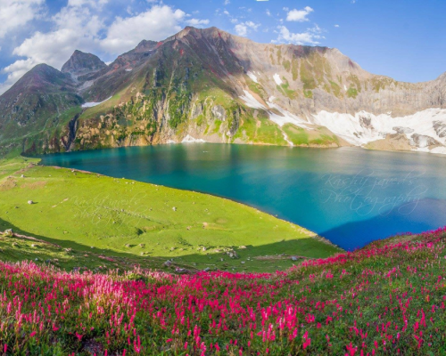 Kashmir