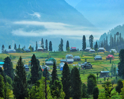Kashmir shogran package (2)