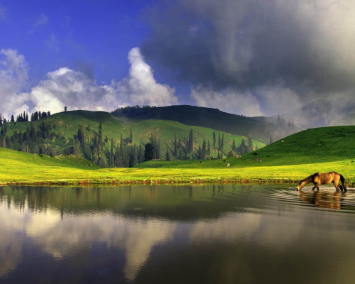Kashmir shogran package (4)