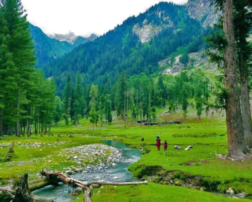Kumrat Valley (1)