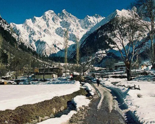 Malam jabba (1)