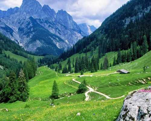 Malam jabba (3)