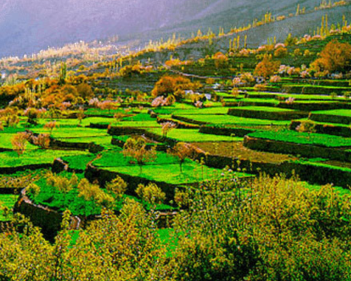 Swat Hunza Valley Package (3)