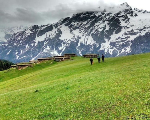shogran swat (1)