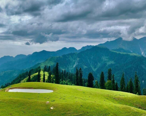 shogran swat (2)
