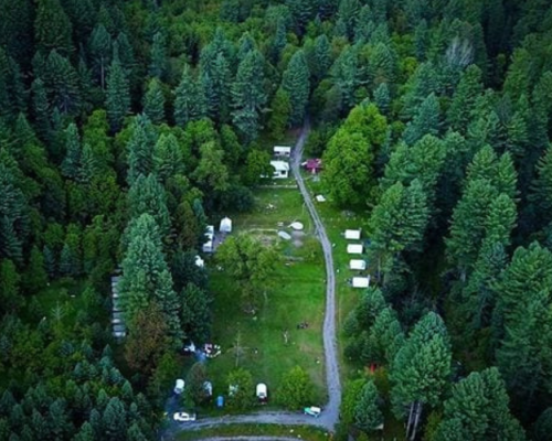 shogran swat (3)