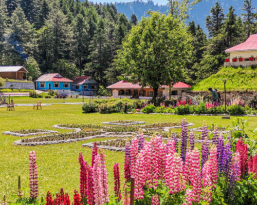 shogran swat (4)