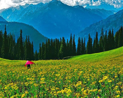 swat kalam malam jabba (2)